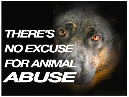 Stop the abuse! Animal cruelty is a crime - ECB Publishing, Inc.